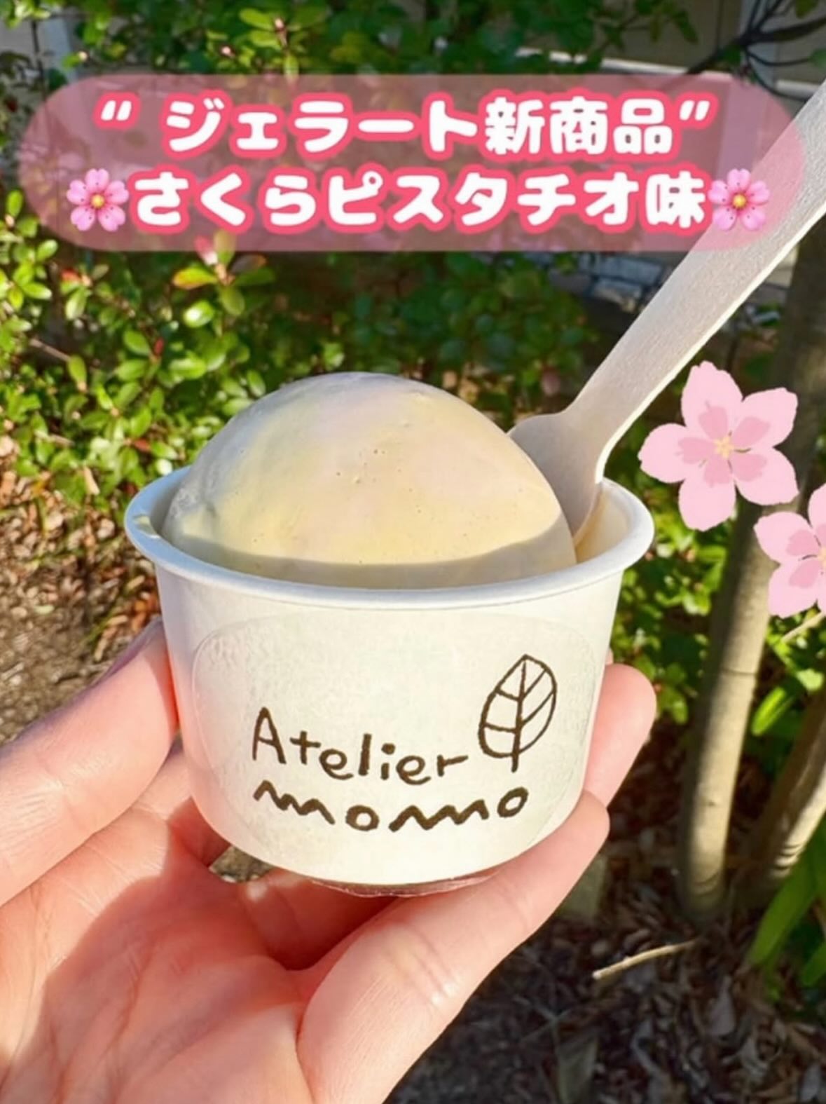 お花見日和！MOMOのお菓子で🌸