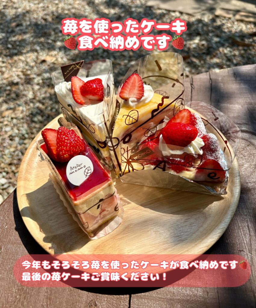 苺ケーキ、今週で終了！次は桃の季節🍑